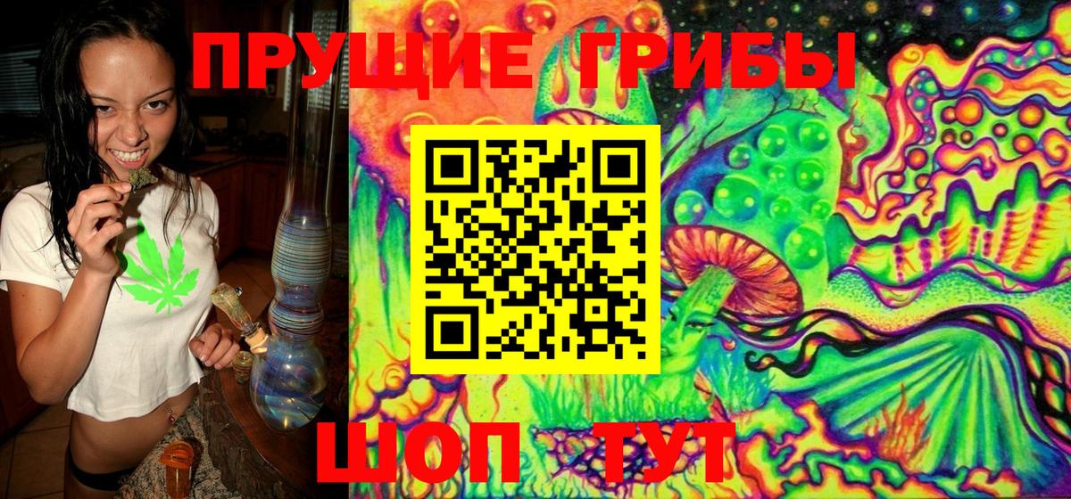Галлюциногенные грибы GOLDEN TEACHER  Вход с VPN  Кушва 