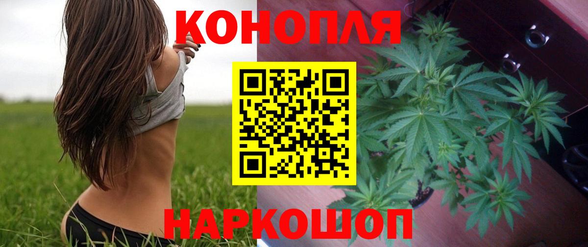 Канабис Bruce Banner  Каннабис планчик  Кушва  Вход с VPN  Марихуана OG Kush 